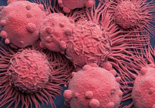 ReachMD Healthcare Image