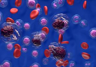 ReachMD Healthcare Image