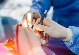 ReachMD Healthcare Image