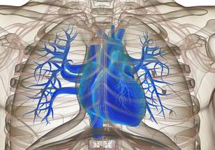 ReachMD Healthcare Image