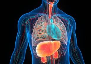 ReachMD Healthcare Image