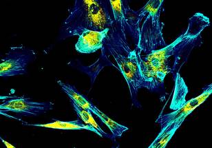 ReachMD Healthcare Image