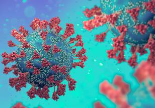 ReachMD Healthcare Image