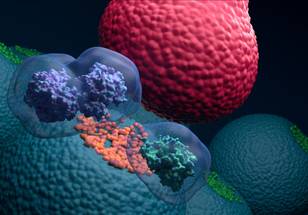 ReachMD Healthcare Image