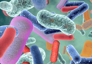 ReachMD Healthcare Image