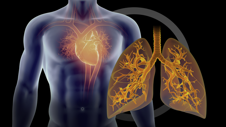 ReachMD Healthcare Image