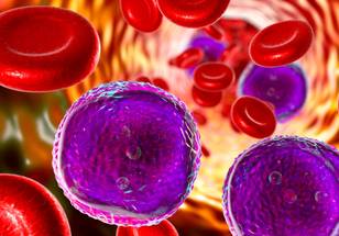 ReachMD Healthcare Image