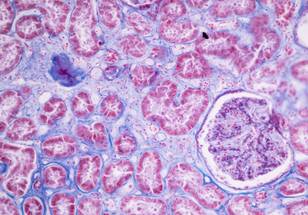 ReachMD Healthcare Image