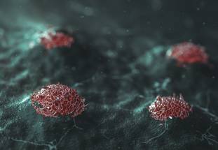 ReachMD Healthcare Image