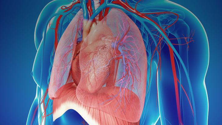 ReachMD Healthcare Image