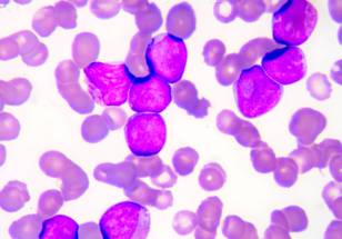 ReachMD Healthcare Image