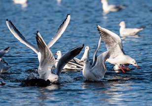 ReachMD Healthcare Image