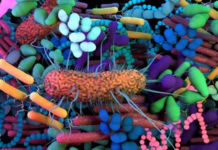 ReachMD Healthcare Image