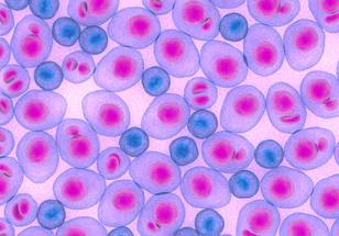 ReachMD Healthcare Image