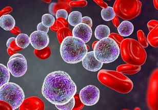 ReachMD Healthcare Image