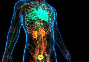 ReachMD Healthcare Image