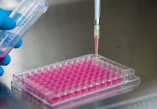 ReachMD Healthcare Image