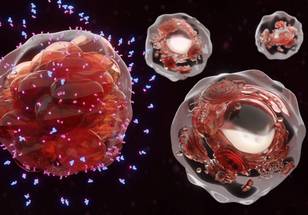 ReachMD Healthcare Image