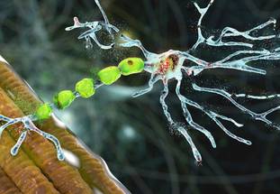 ReachMD Healthcare Image