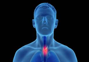 ReachMD Healthcare Image