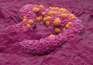 ReachMD Healthcare Image