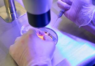 ReachMD Healthcare Image