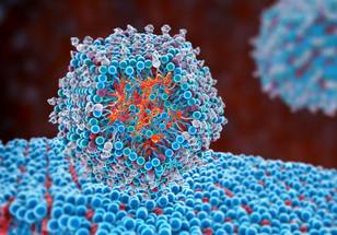 ReachMD Healthcare Image