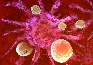 ReachMD Healthcare Image