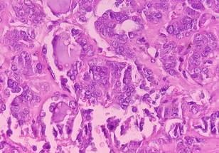 ReachMD Healthcare Image