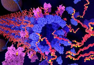 ReachMD Healthcare Image