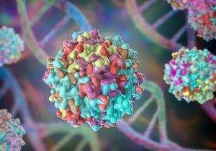 ReachMD Healthcare Image