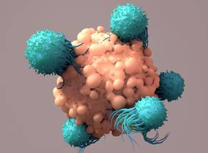 ReachMD Healthcare Image