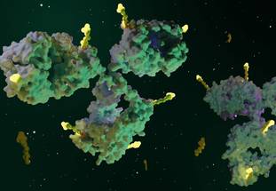 ReachMD Healthcare Image