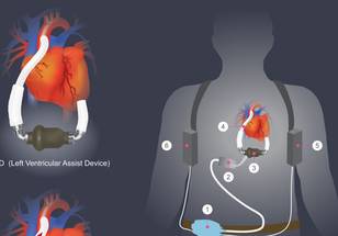 ReachMD Healthcare Image
