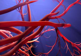 ReachMD Healthcare Image