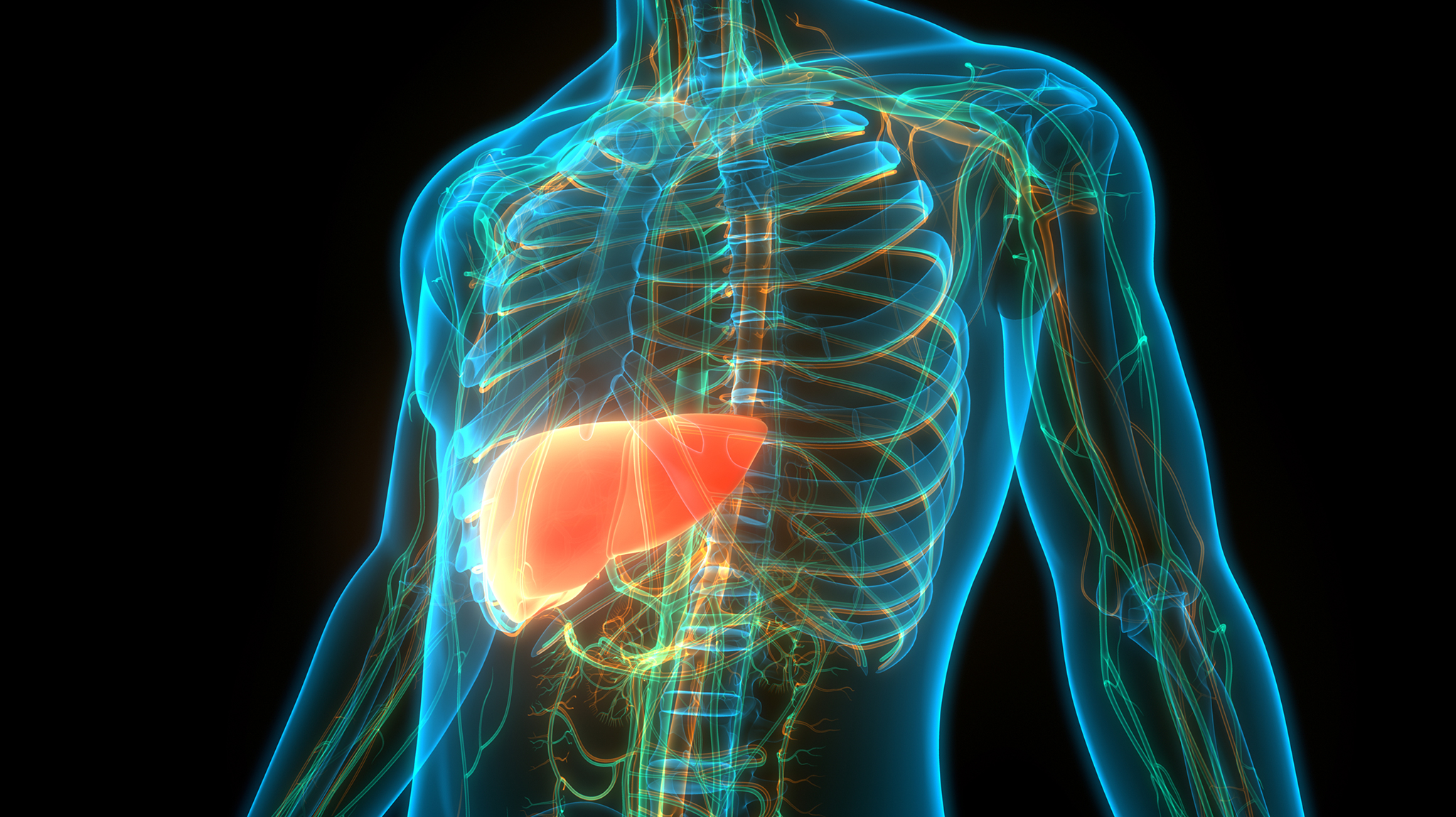 GASTROENTEROLOGY AND HEPATOLOGY visual data 5