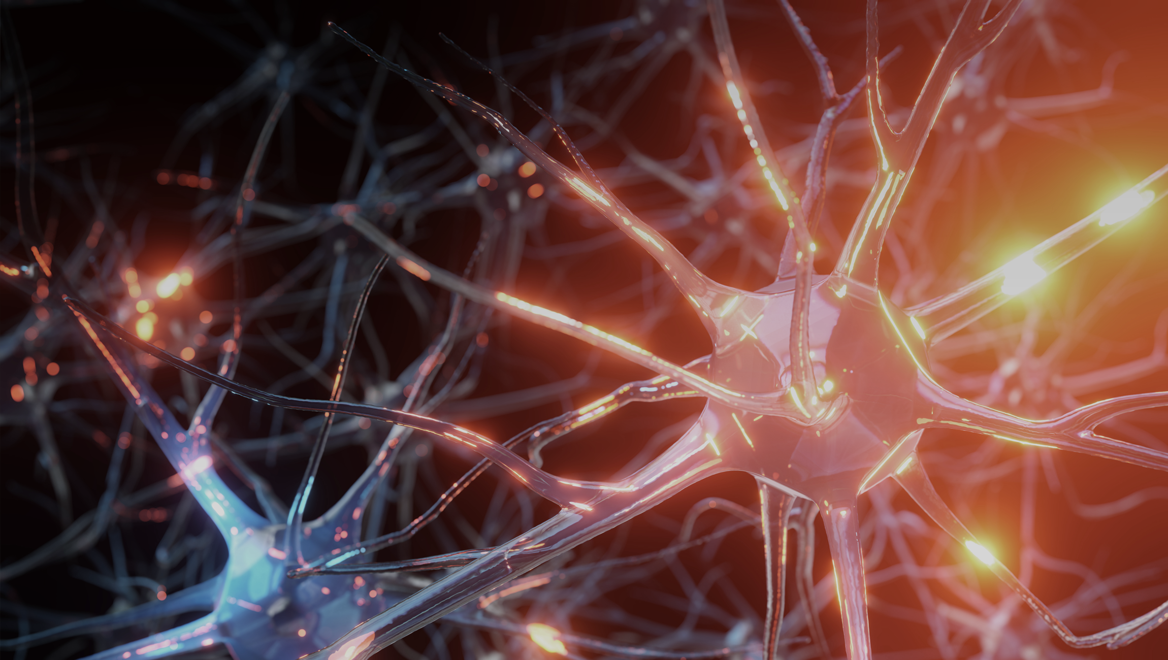 Cme; Chronic Inflammatory Demyelinating Polyneuropathy